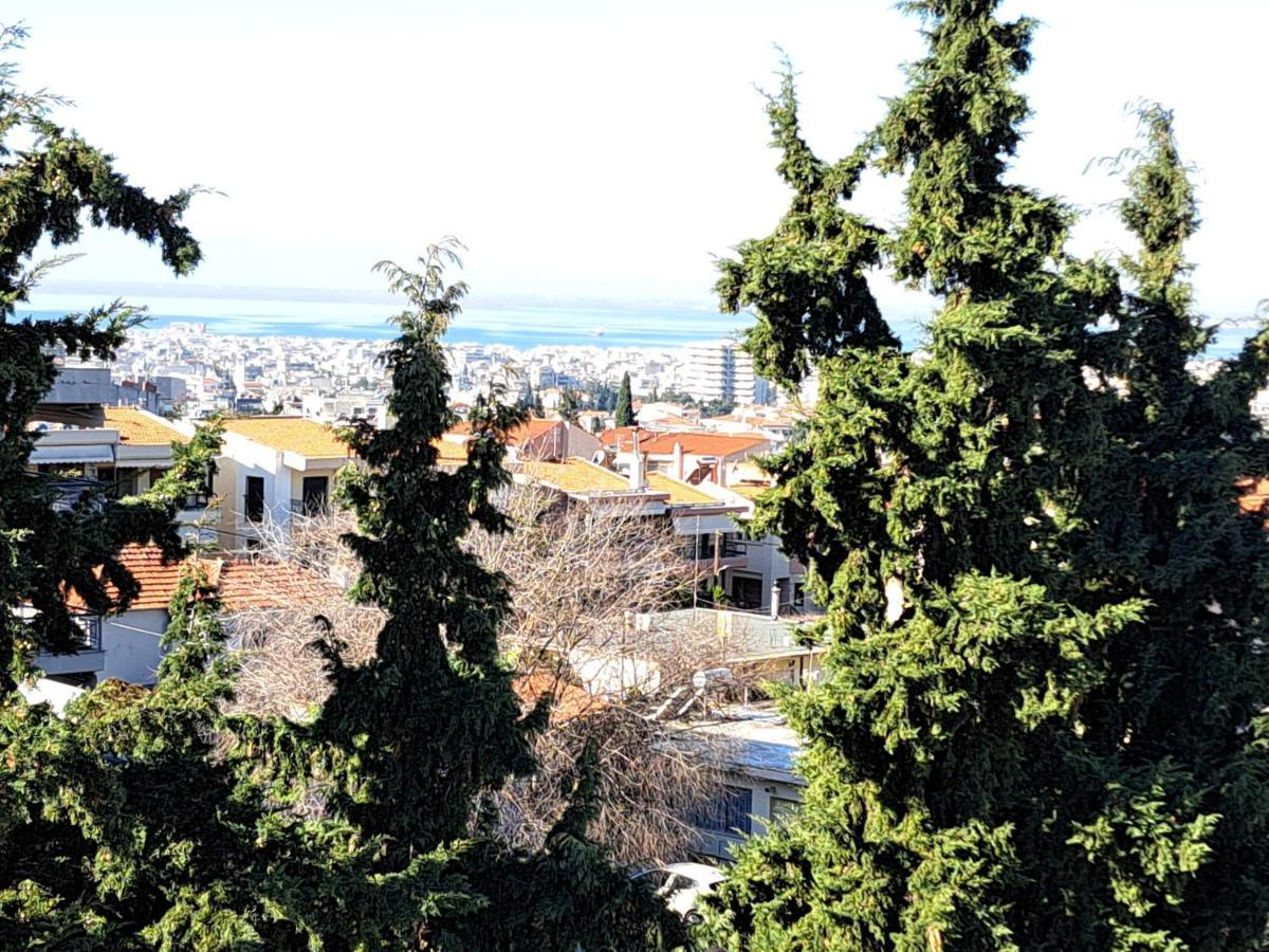 Όμορφο Διαμέρισμα- Σοφίτα Με Υπέροχη Θεα Salonicco Esterno foto