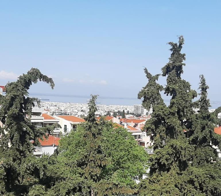 Όμορφο Διαμέρισμα- Σοφίτα Με Υπέροχη Θεα Salonicco Esterno foto